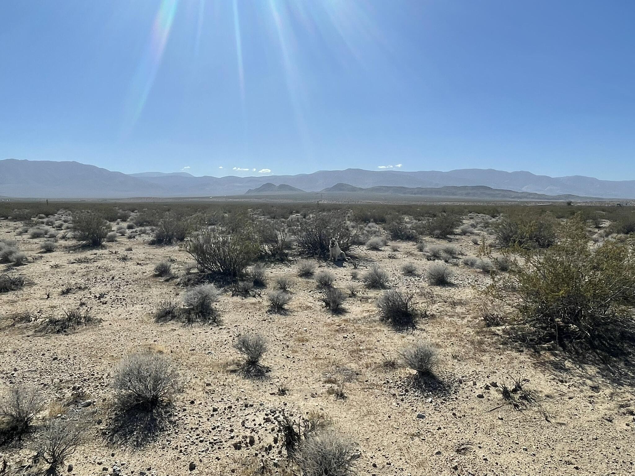 0 Carmer Road Lucerne Valley, CA 92356 - Photo 11 of 14 a view of ocean view with wooden floor and mountain view