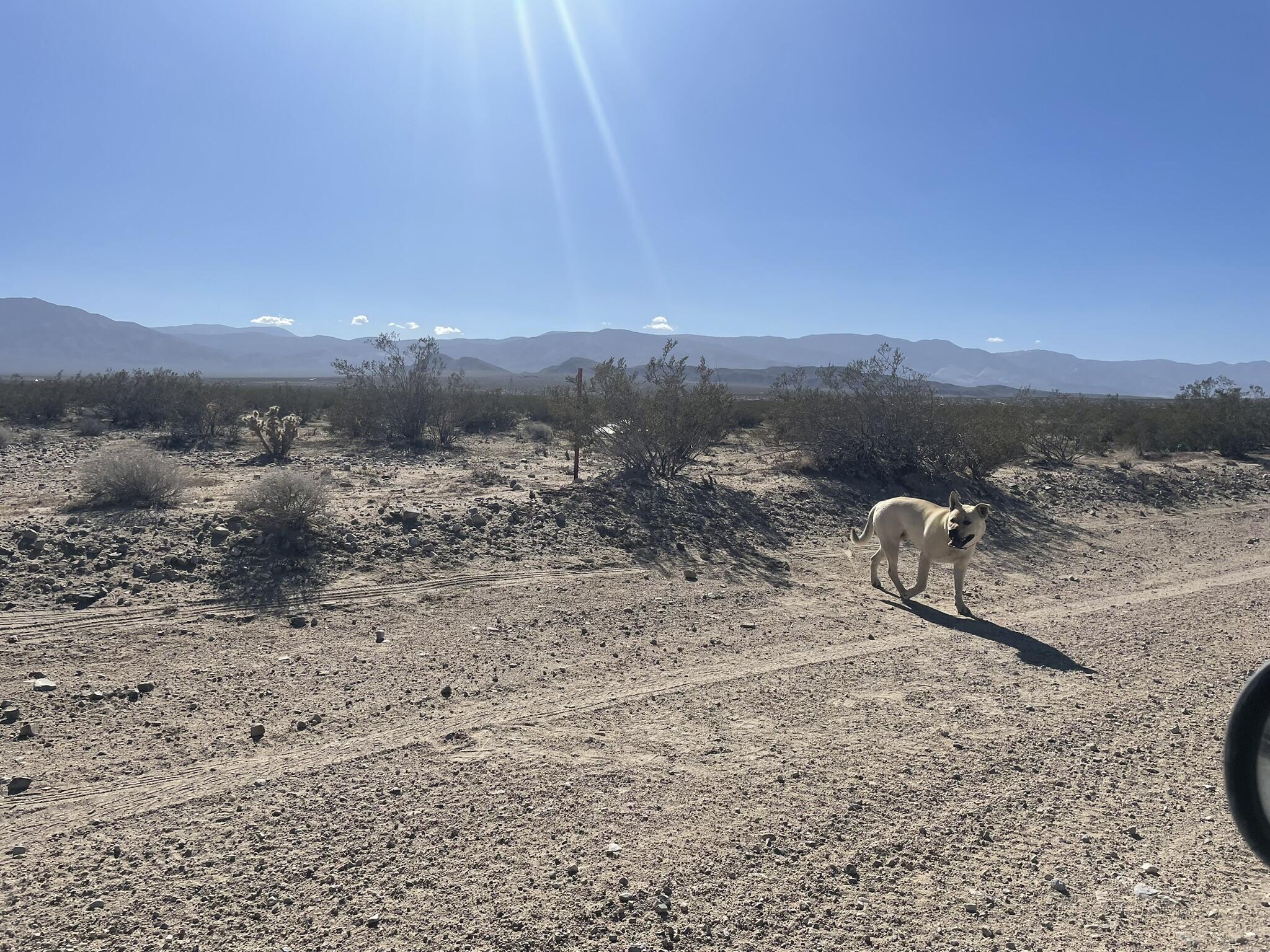 0 Carmer Road Lucerne Valley, CA 92356 - Photo 12 of 14 a view of a lake view and mountain view