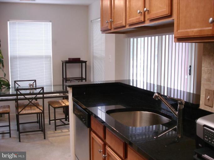 1793 Jonathan Way, Unit 1793F Reston, VA 20190 - Photo 4 of 13 Kitchen #2
