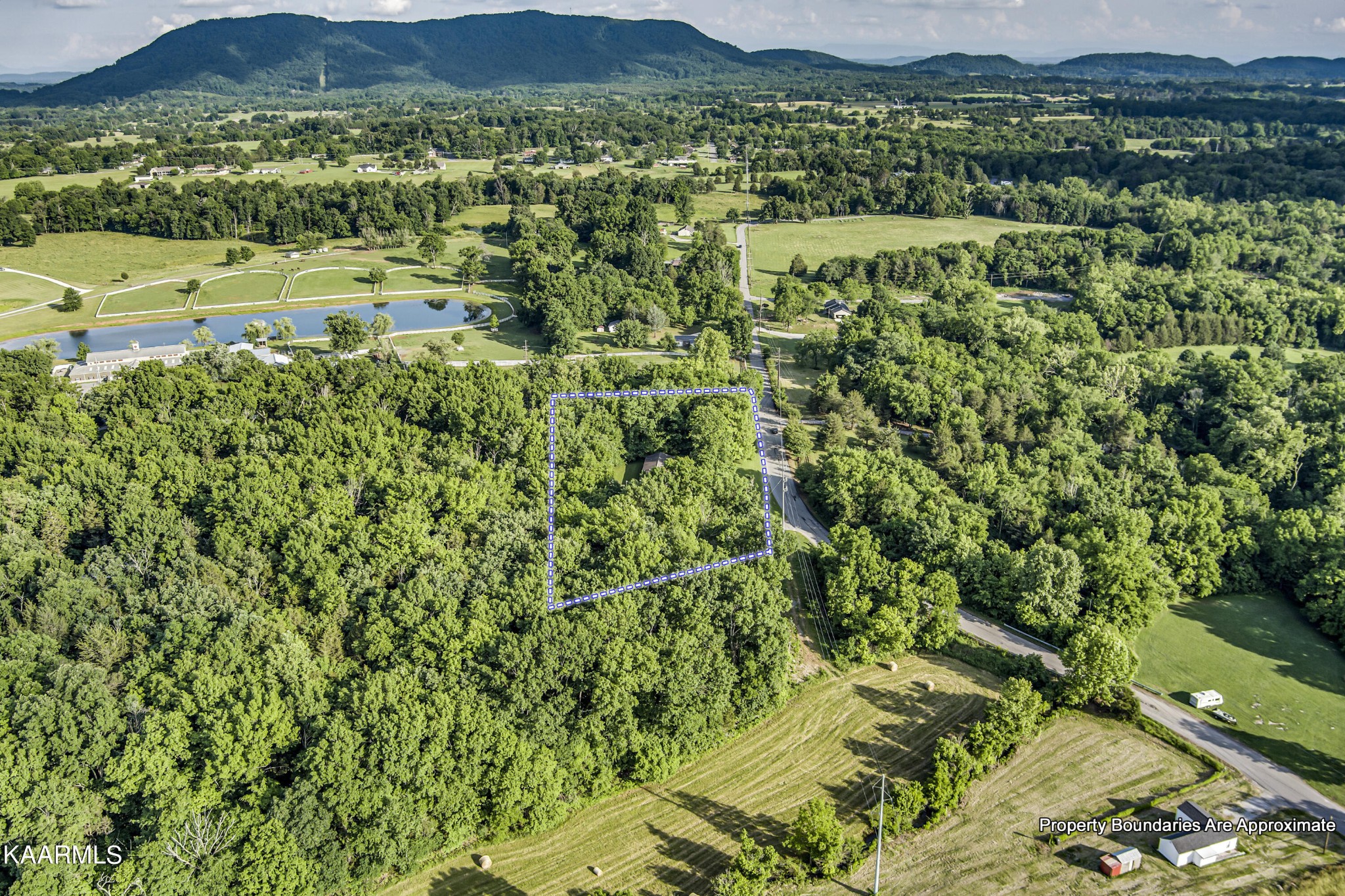 7812 Jim Wolfe Road Corryton, TN 37721 - Photo 36 of 39