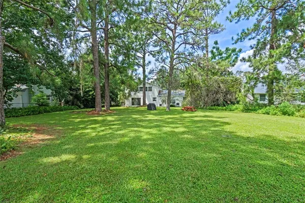 a view of a park with large trees