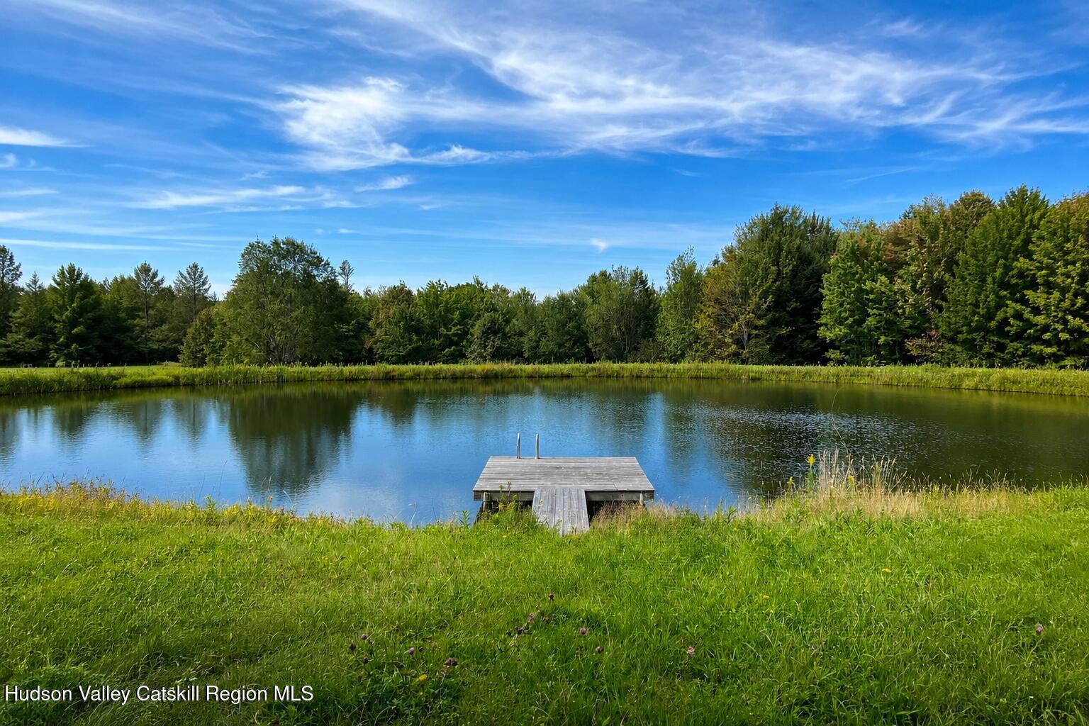 396 Austin Road Jefferson, NY 12093 - Photo 8 of 45 10 ext pond summer