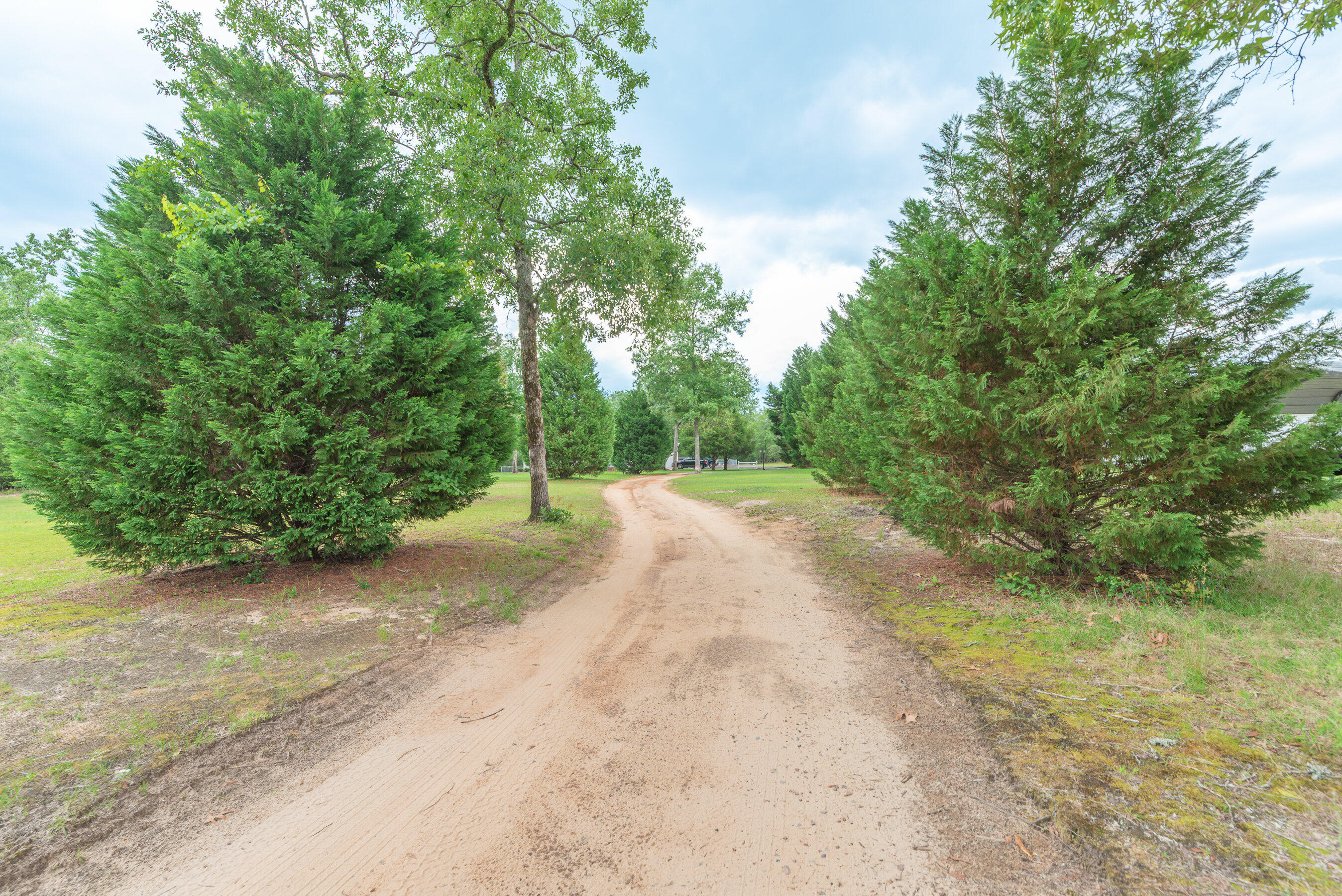3502 Columbia Highway North Ridge Spring, SC 29129 - Photo 8 of 71 001_3502_columbia_hwy_n_001_922