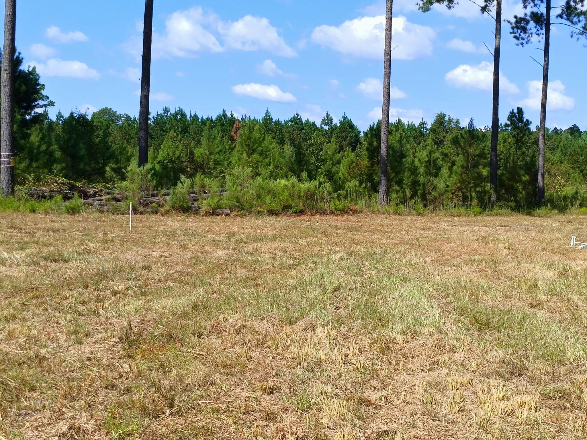 Lot 7 White Pond Road Williston, SC 29853 - Photo 9 of 14