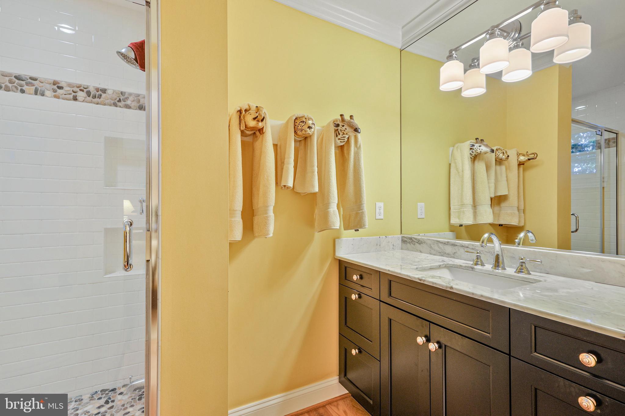 2214 Forest Ridge Road Lutherville-Timonium, MD 21093 - Photo 37 of 58 CUSTOM BATH