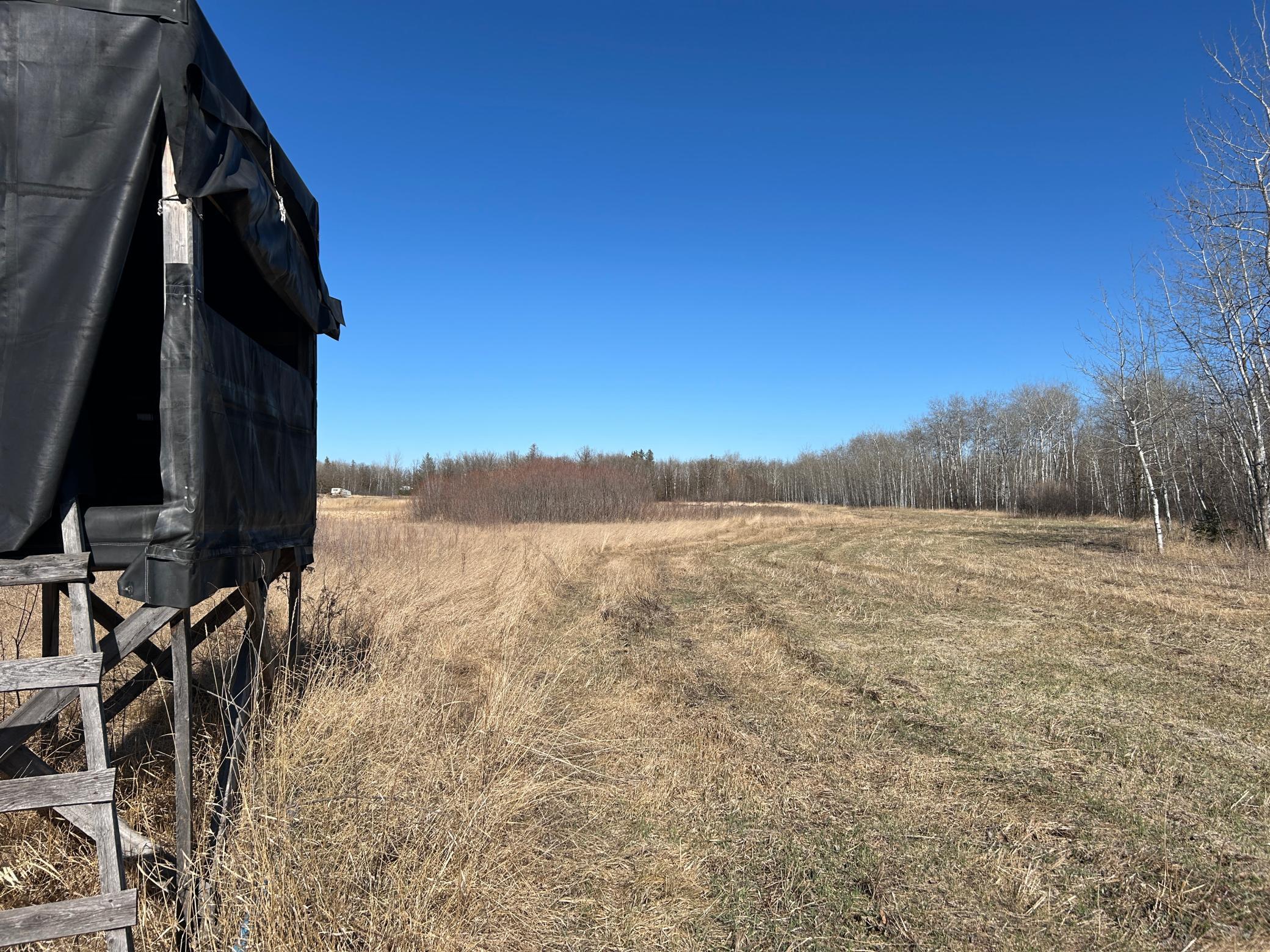 26268 Highway 11 Badger, MN 56714 - Photo 12 of 14