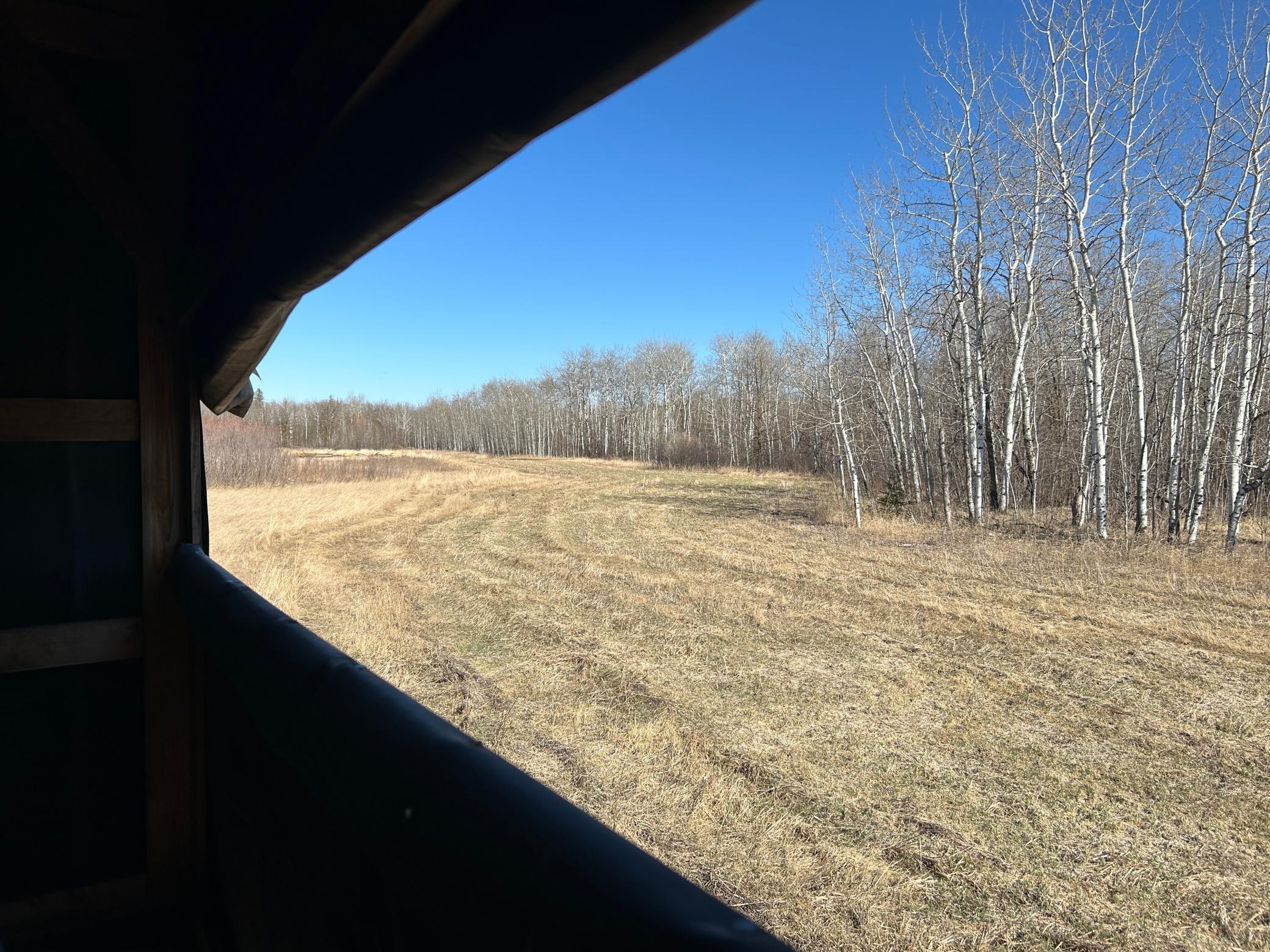 26268 Highway 11 Badger, MN 56714 - Photo 13 of 14