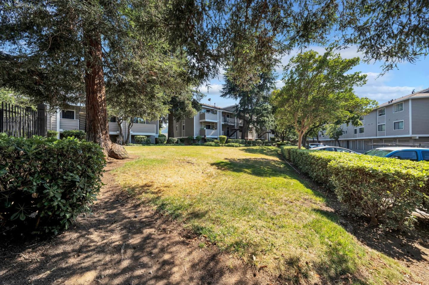 244 Stonegate Circle San Jose, CA 95110 - Photo 31 of 38 a view of a house with a large tree
