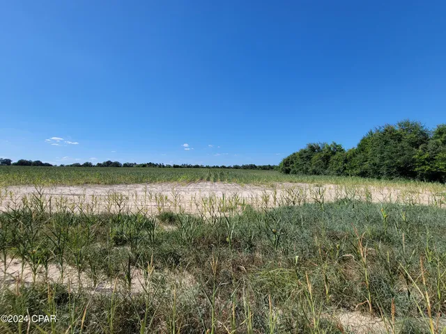 $115,500 | Lot 3 Bradley Road, Westville, FL 32464