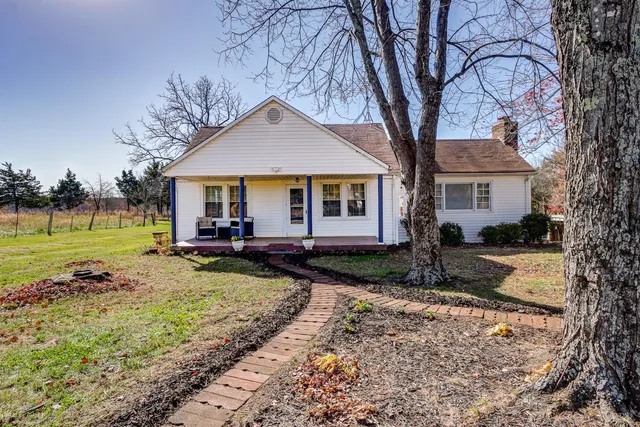 a view of a yard in front of a house with plants and large tree