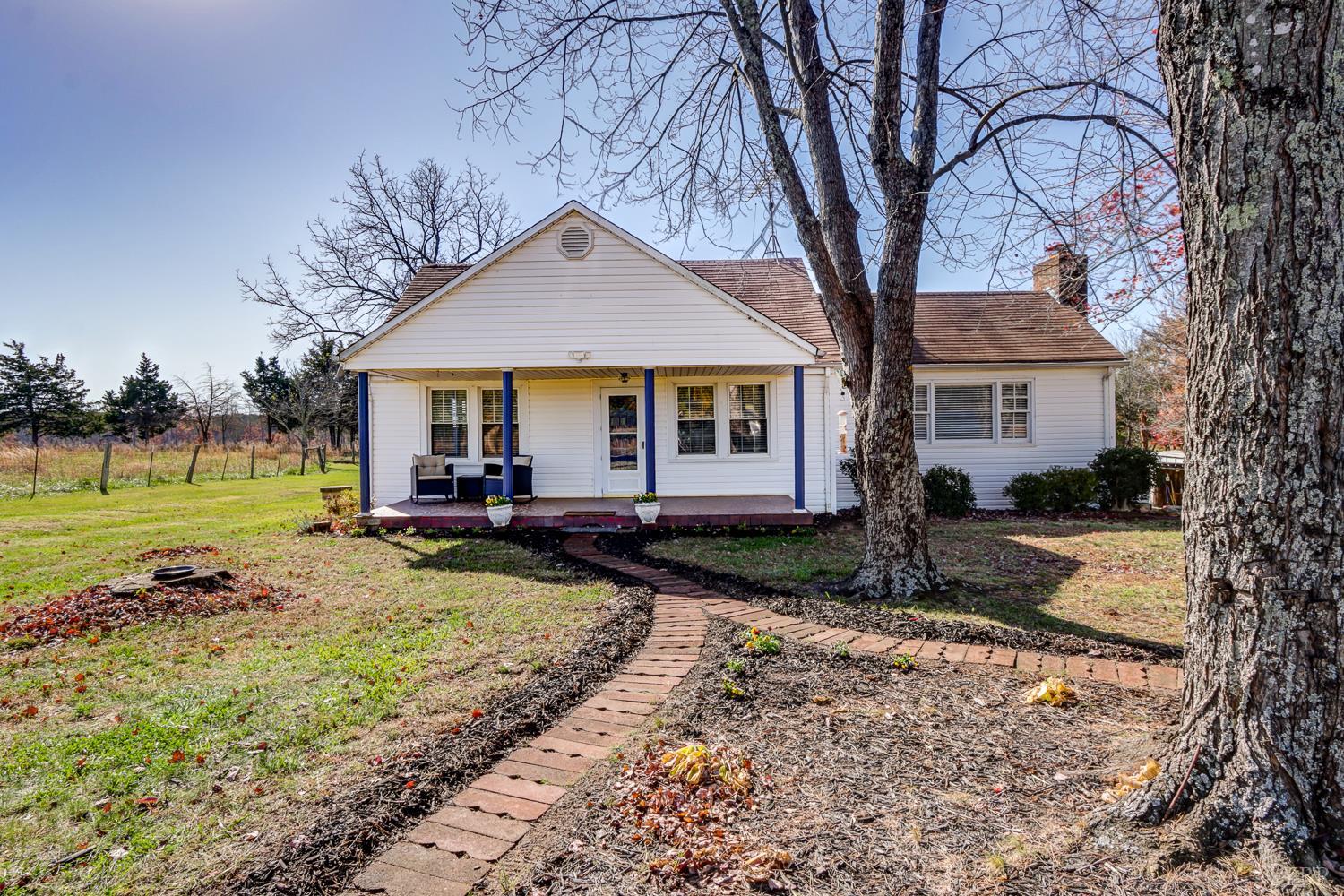 a view of a yard in front of a house with plants and large tree