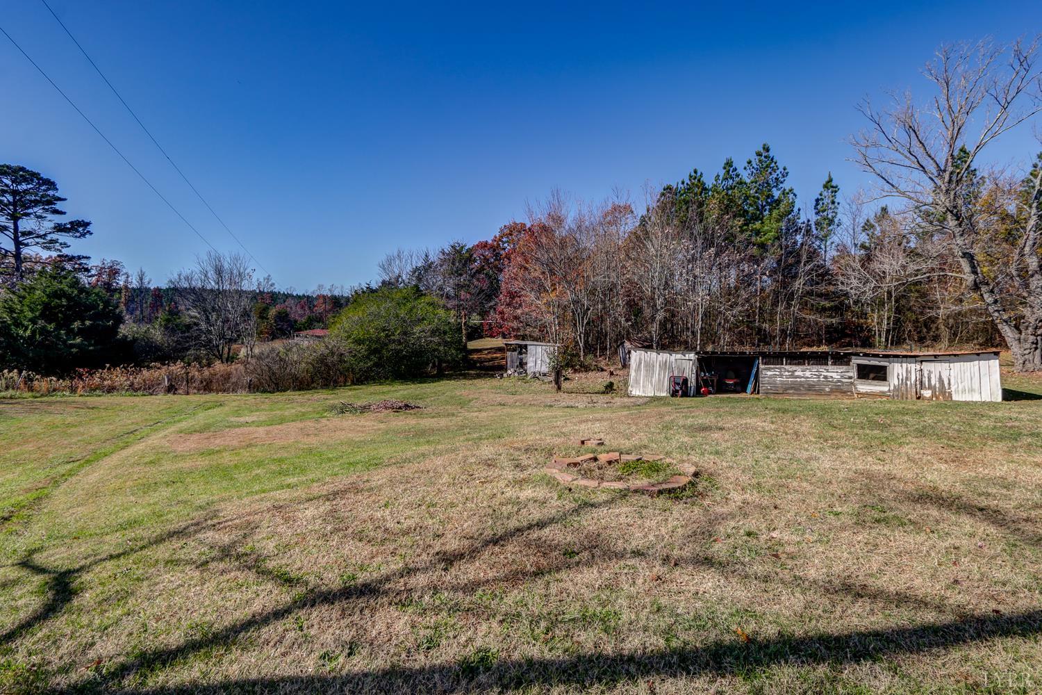 3292 Payneton Road Chatham, VA 24531 - Photo 11 of 48 a view of a yard with an tree