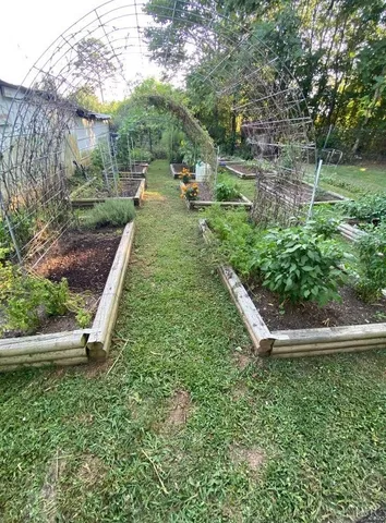 a view of a backyard with lawn chairs plants and large tree