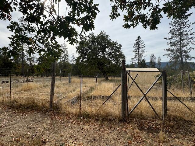 1580 Laurel Road Cave Junction, OR 97523 - Photo 6 of 26 IMG_0500