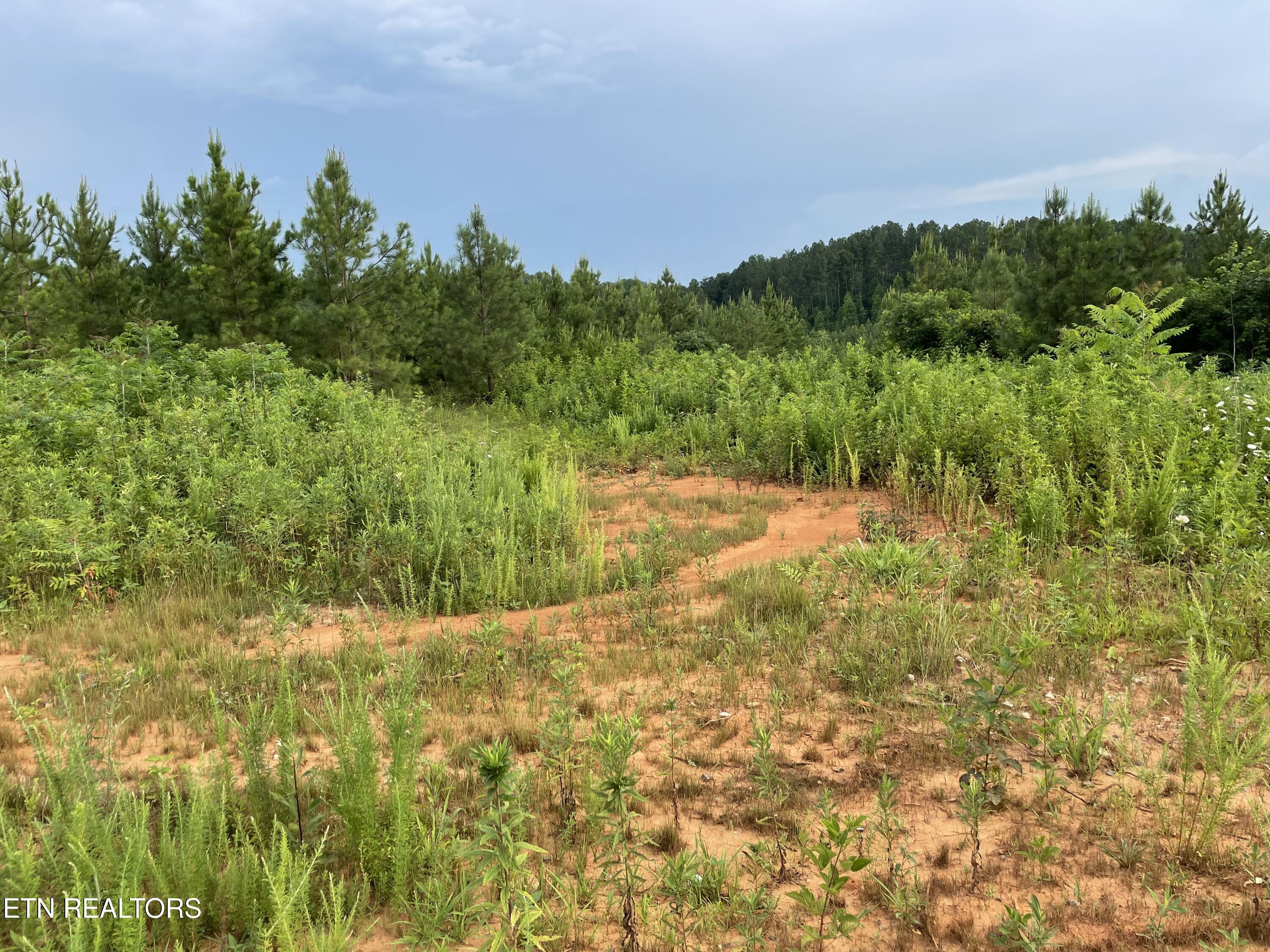 Millsaps Road Vonore, TN 37885 - Photo 10 of 18 IMG_1823