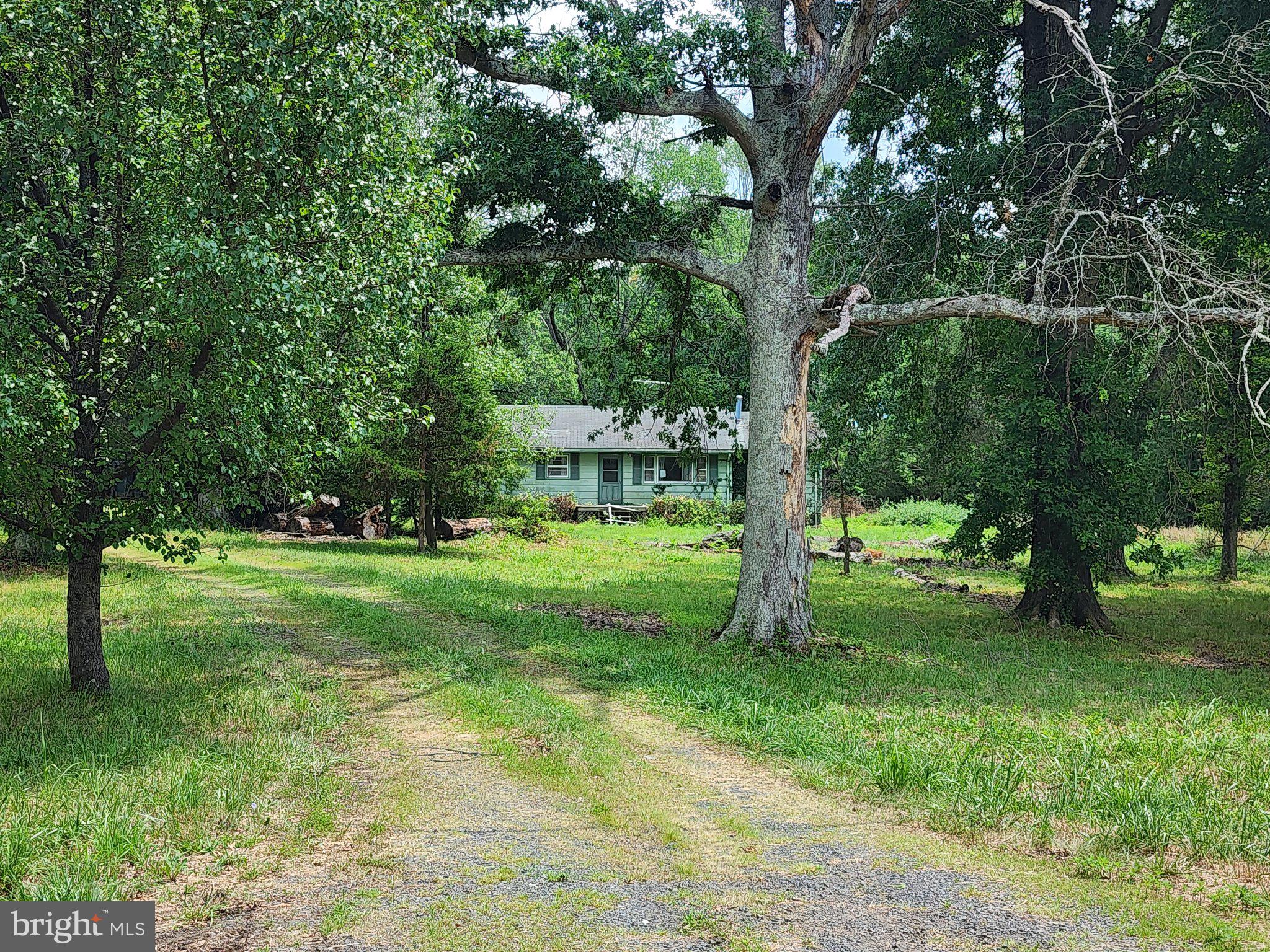 5361 Balls Mill Road Midland, VA 22728 - Photo 2 of 24 Charming retreat amid lush greenery.