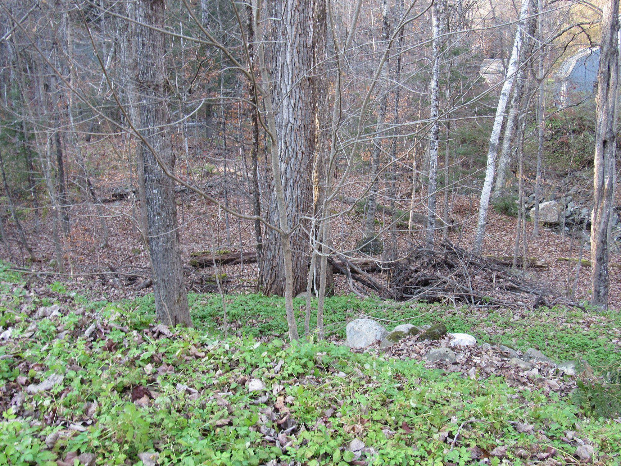 169 Holland Road Dover, VT 05341 - Photo 4 of 14