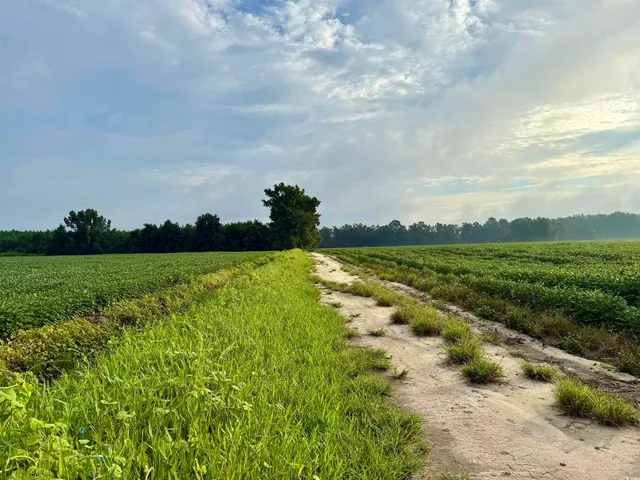 $420,000 | 1335 County Road 43-150, Olanta, SC 29114