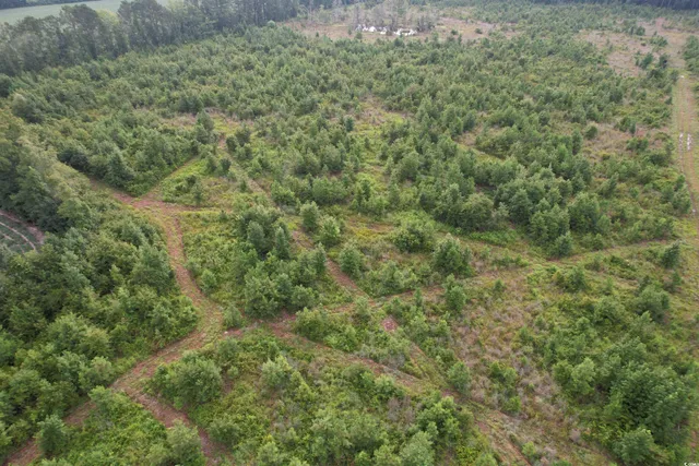 $420,000 | 1335 County Road 43-150, Olanta, SC 29114