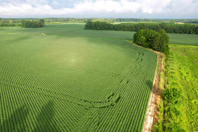 $420,000 | 1335 County Road 43-150, Olanta, SC 29114