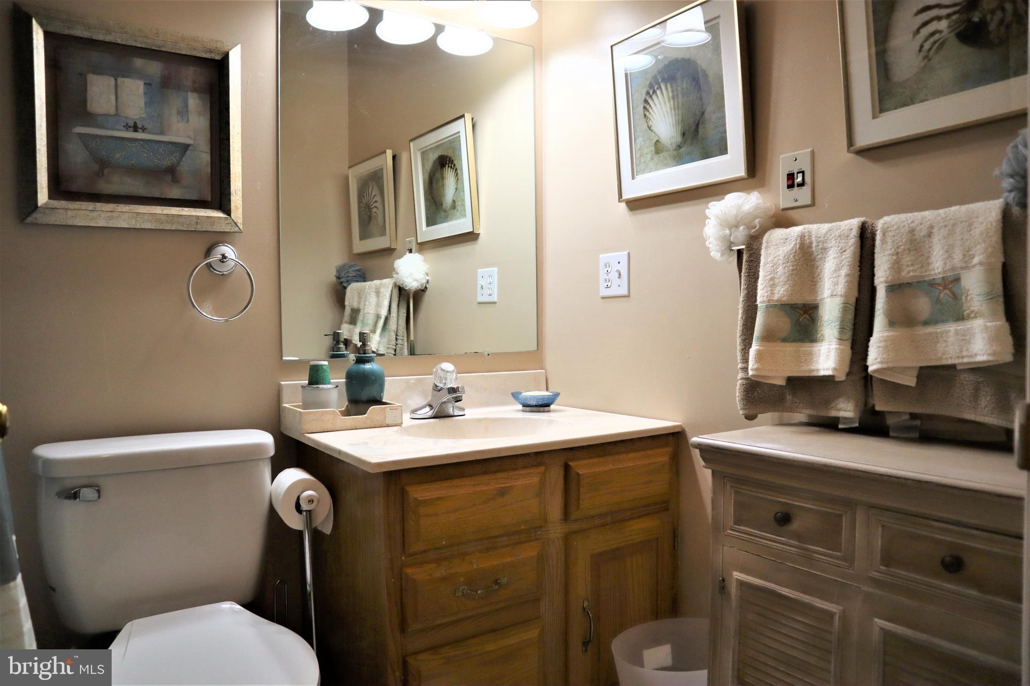 313 Stonehenge Road Winchester, VA 22601 - Photo 28 of 44 Upper Level Full Bath
