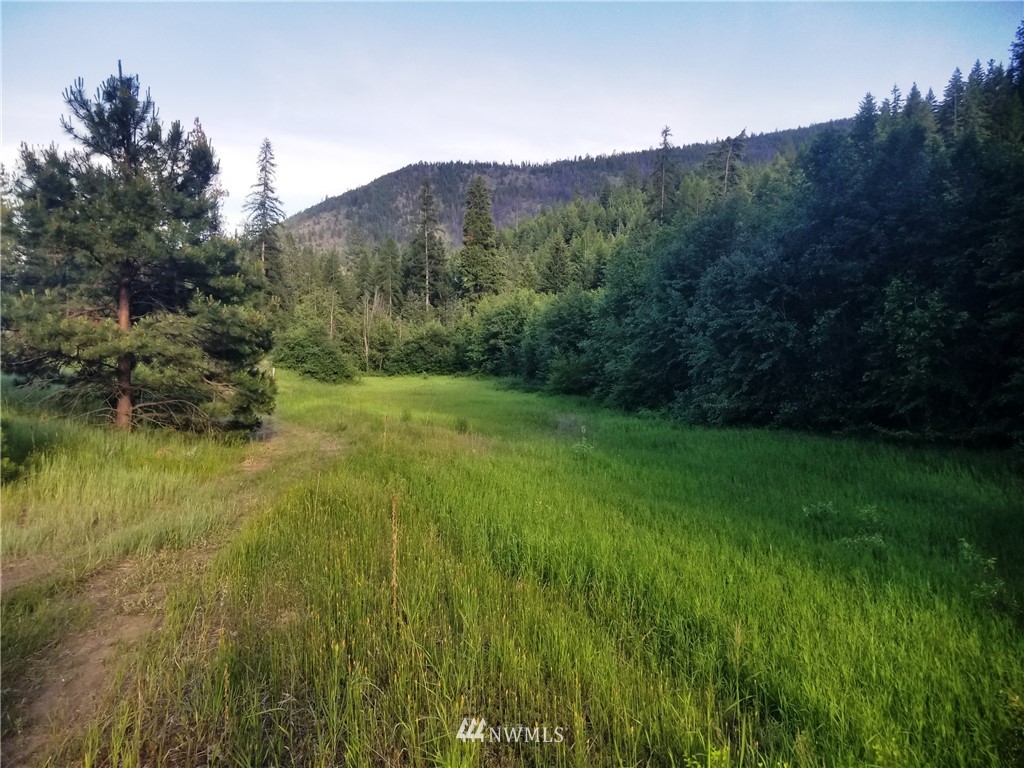 111-tbd West Fork Road Conconully, WA 98819 - Photo 2 of 21 Gallery Image 2