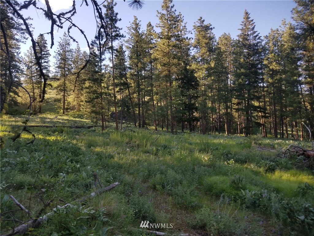 111-tbd West Fork Road Conconully, WA 98819 - Photo 17 of 21 Gallery Image 17