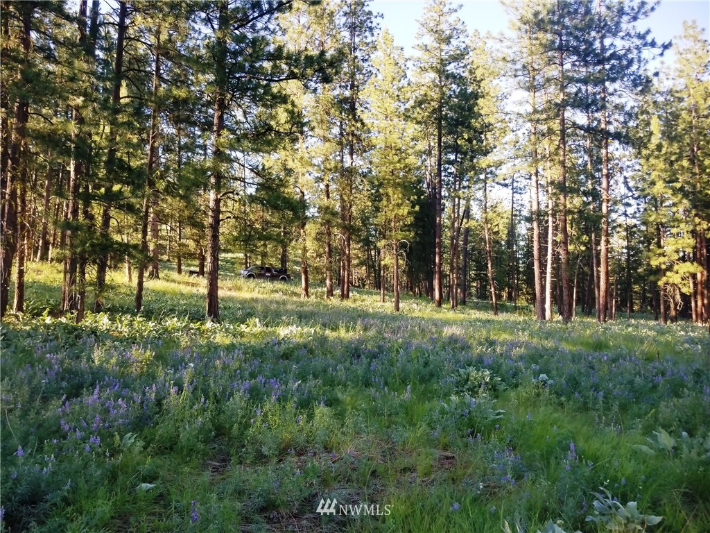 111-tbd West Fork Road Conconully, WA 98819 - Photo 3 of 21 Gallery Image 3