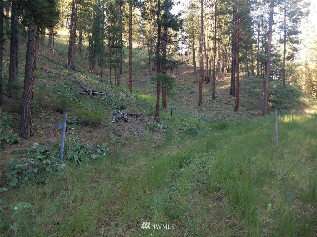 111-tbd West Fork Road Conconully, WA 98819 - Photo 21 of 21 Gallery Image 21