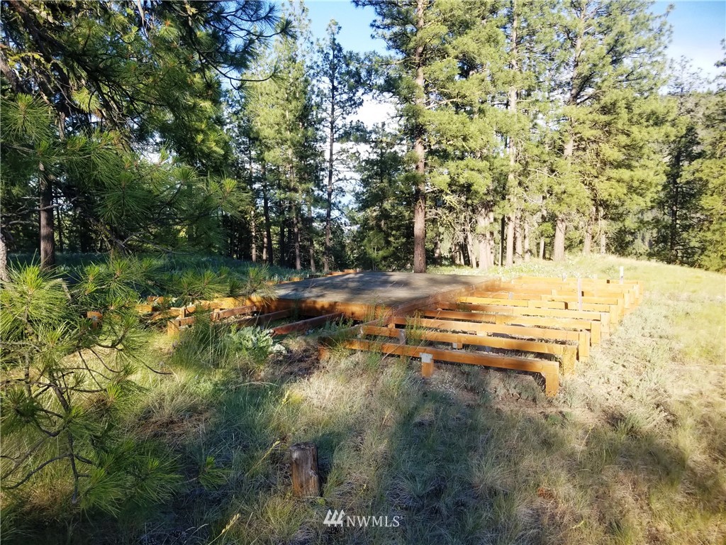 111-tbd West Fork Road Conconully, WA 98819 - Photo 10 of 21 Gallery Image 10