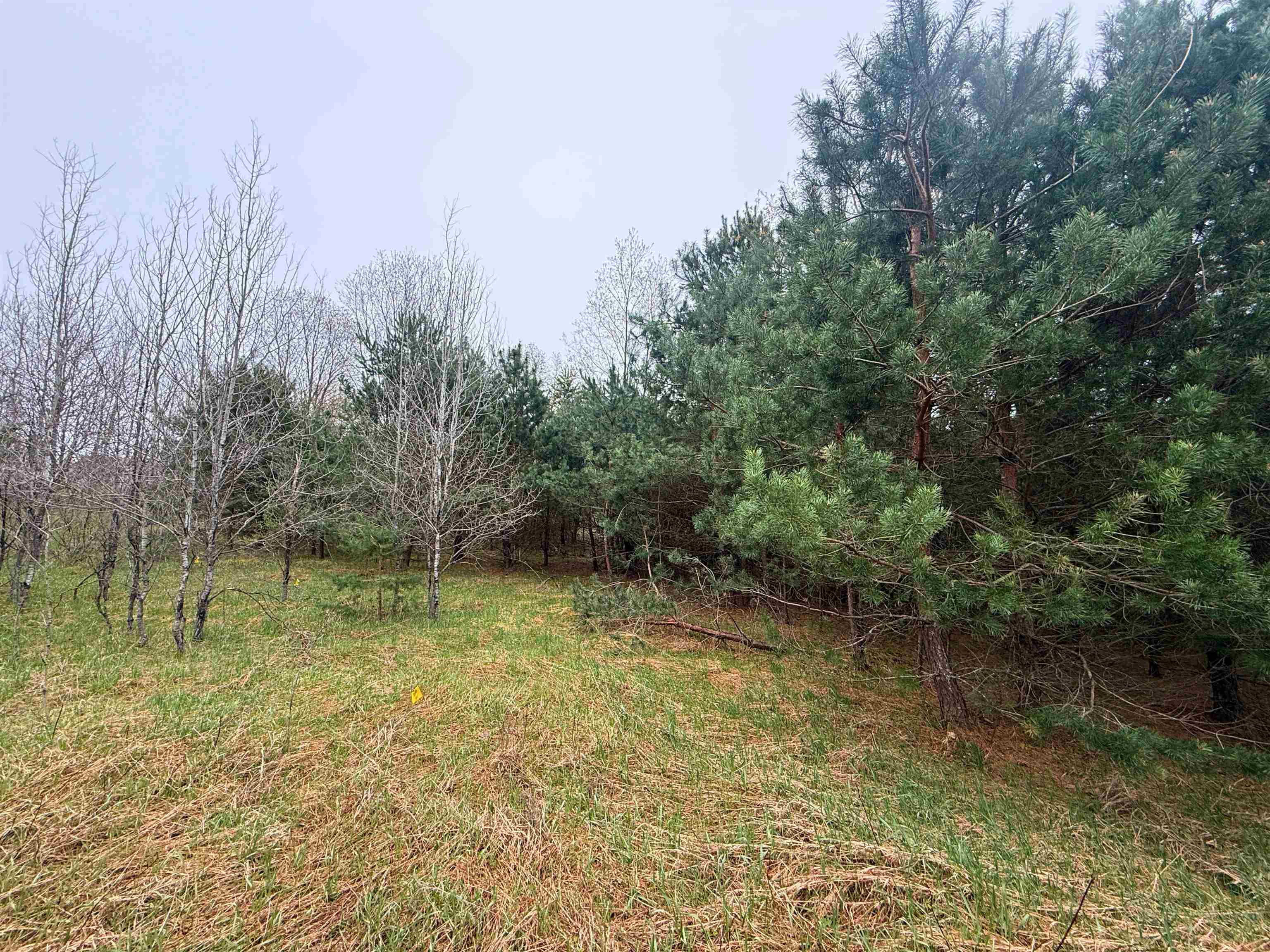 0 West County Line Road, Unit LOT: C Thompsonville, MI 49683 - Photo 13 of 21