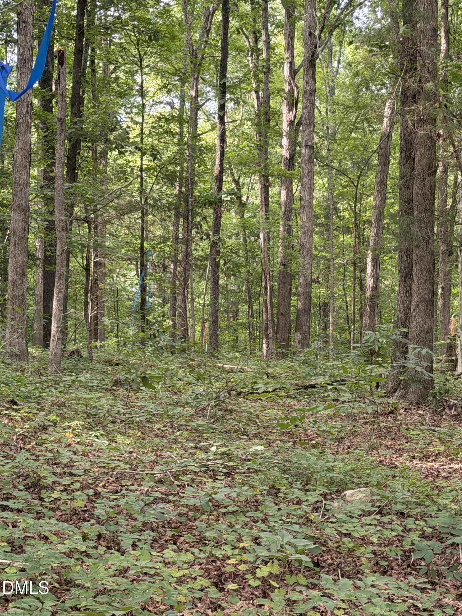 0 Chatham Church Road Moncure, NC 27559 - Photo 14 of 17 IMG_8914