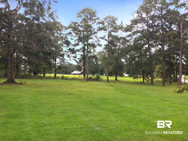 53563 Rabun Road Bay Minette, AL 36507 - Photo 4 of 30