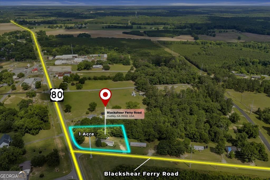1295 Blackshear Ferry Road Dudley, GA 31022 - Photo 3 of 16