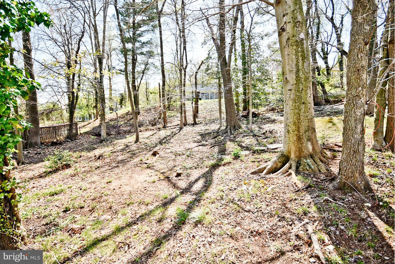 8907 Eastbourne Lane Laurel, MD 20708 - Photo 30 of 30 View