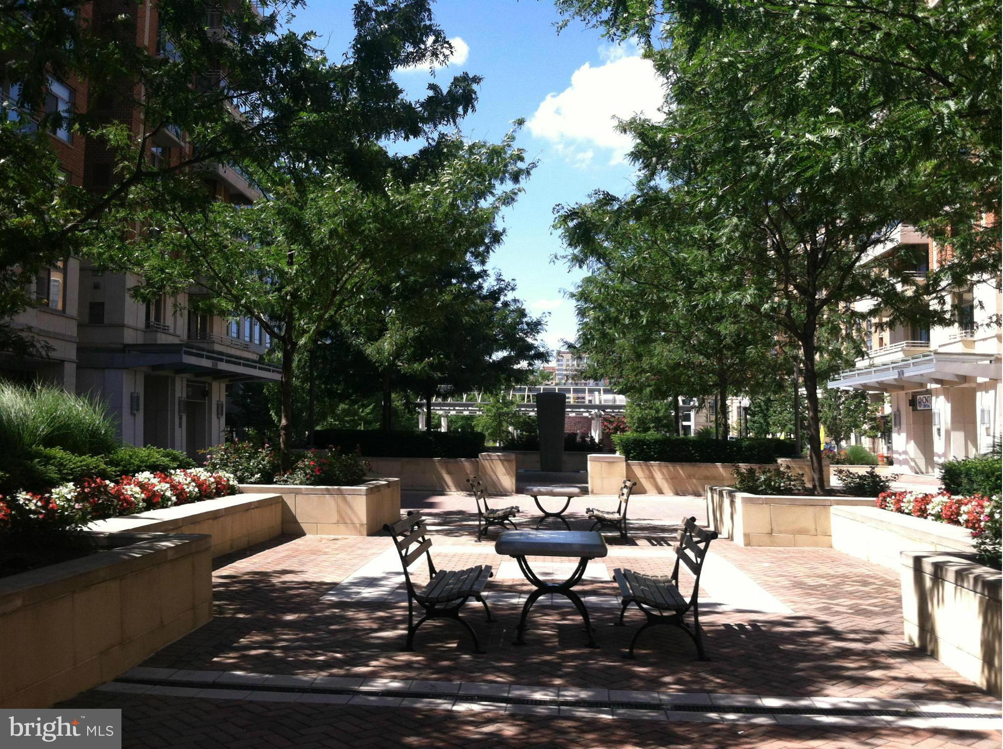 3650 South Glebe Road, Unit 357 Arlington, VA 22202 - Photo 18 of 20 Community