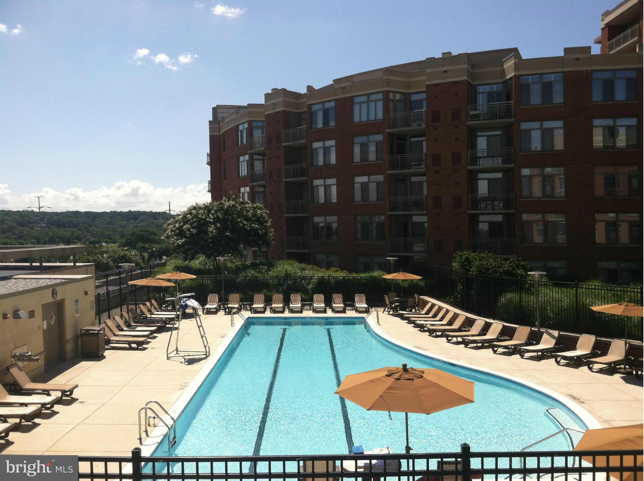 3650 South Glebe Road, Unit 357 Arlington, VA 22202 - Photo 7 of 20 View