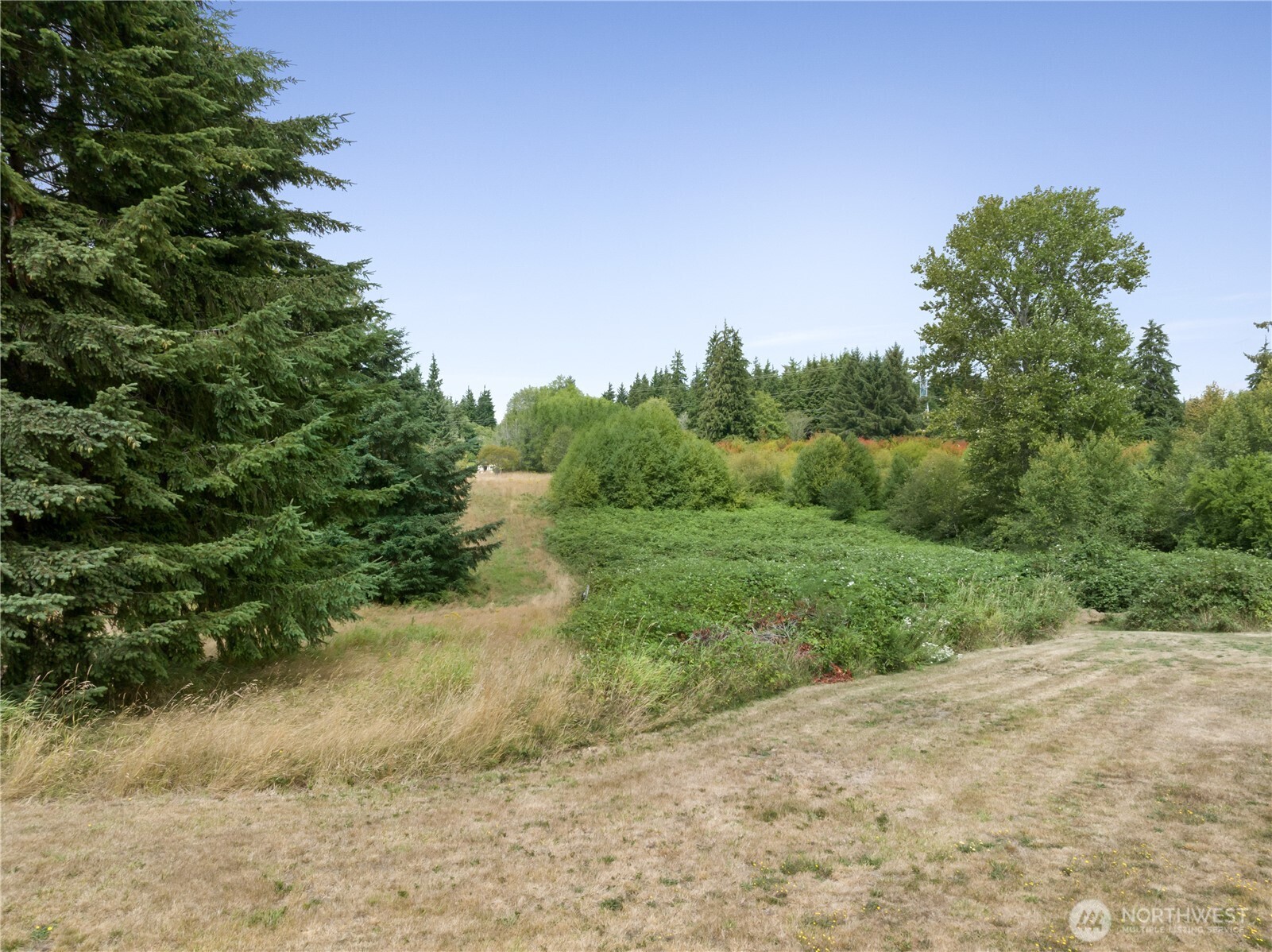 18 X Clemons Road Montesano, WA 98563 - Photo 3 of 10 Gallery Image 3