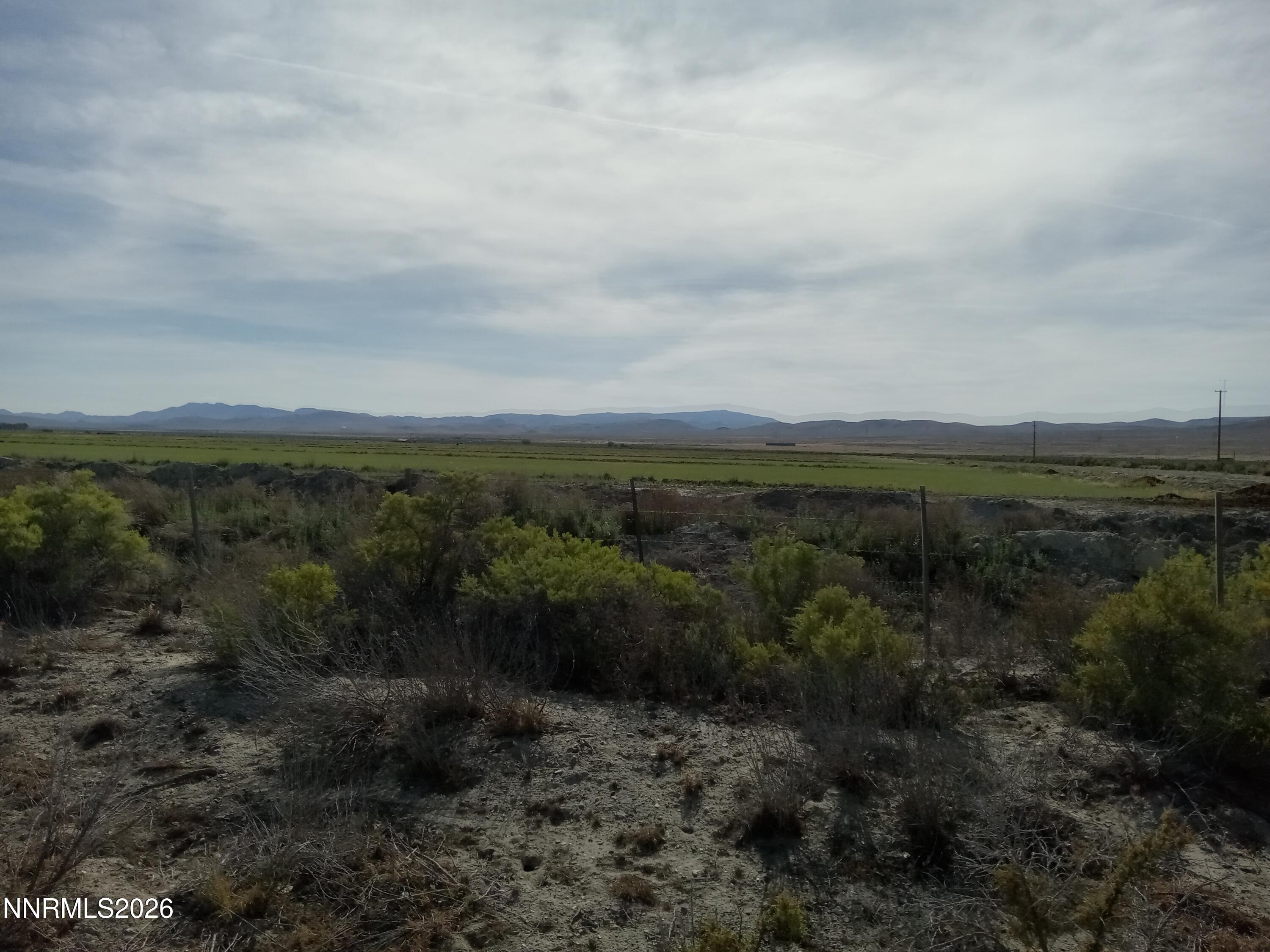 5205 North Meridian Road Lovelock, NV 89419 - Photo 3 of 5 a view of a dry yard with lots of trees