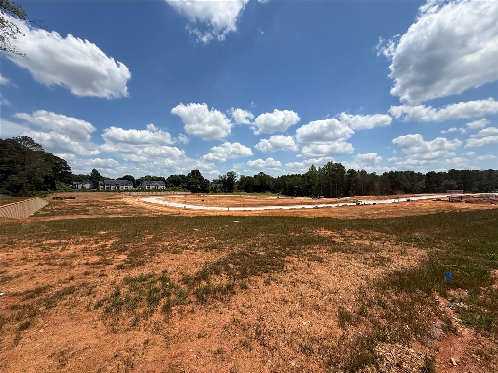 0 Skinner Road Carrollton, GA 30117 - Photo 9 of 9