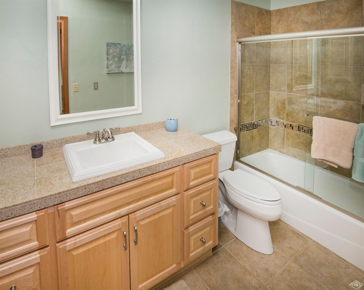 972 Eagle Drive Avon, CO 81620 - Photo 22 of 25 a bathroom with a sink a toilet and shower