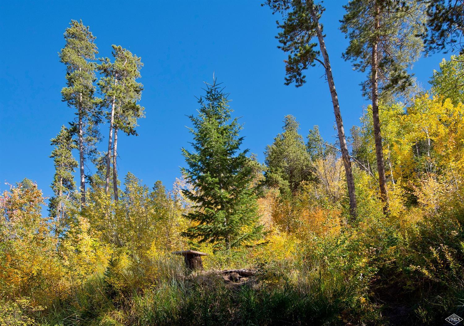 972 Eagle Drive Avon, CO 81620 - Photo 25 of 25 a view of a flower in a garden