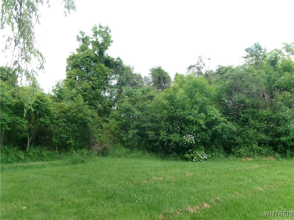 1207 Ransom Road Lancaster, NY 14086 - Photo 17 of 18