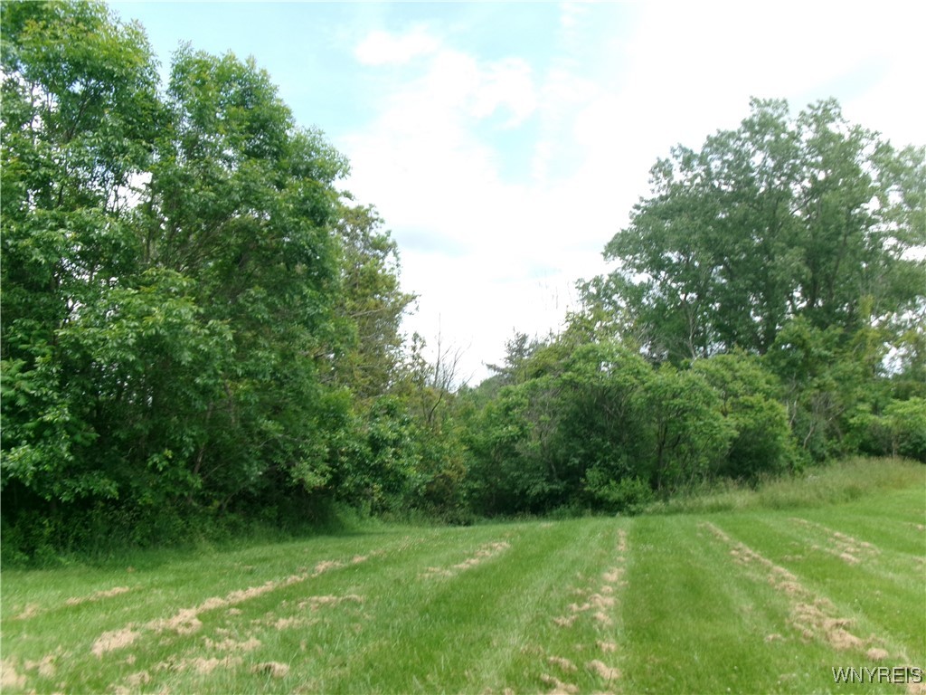 1207 Ransom Road Lancaster, NY 14086 - Photo 18 of 18