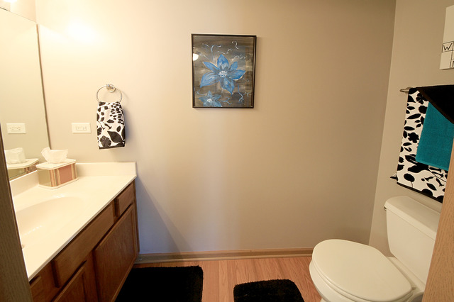 3709 Harms Road Joliet, IL 60435 - Photo 8 of 18 a bathroom with a sink mirror vanity and toilet