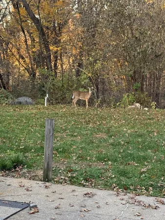 $510,000 | 4304 Tamara Drive, Eau Claire, WI 54701