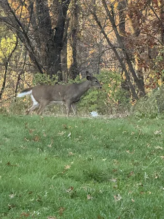 $510,000 | 4304 Tamara Drive, Eau Claire, WI 54701