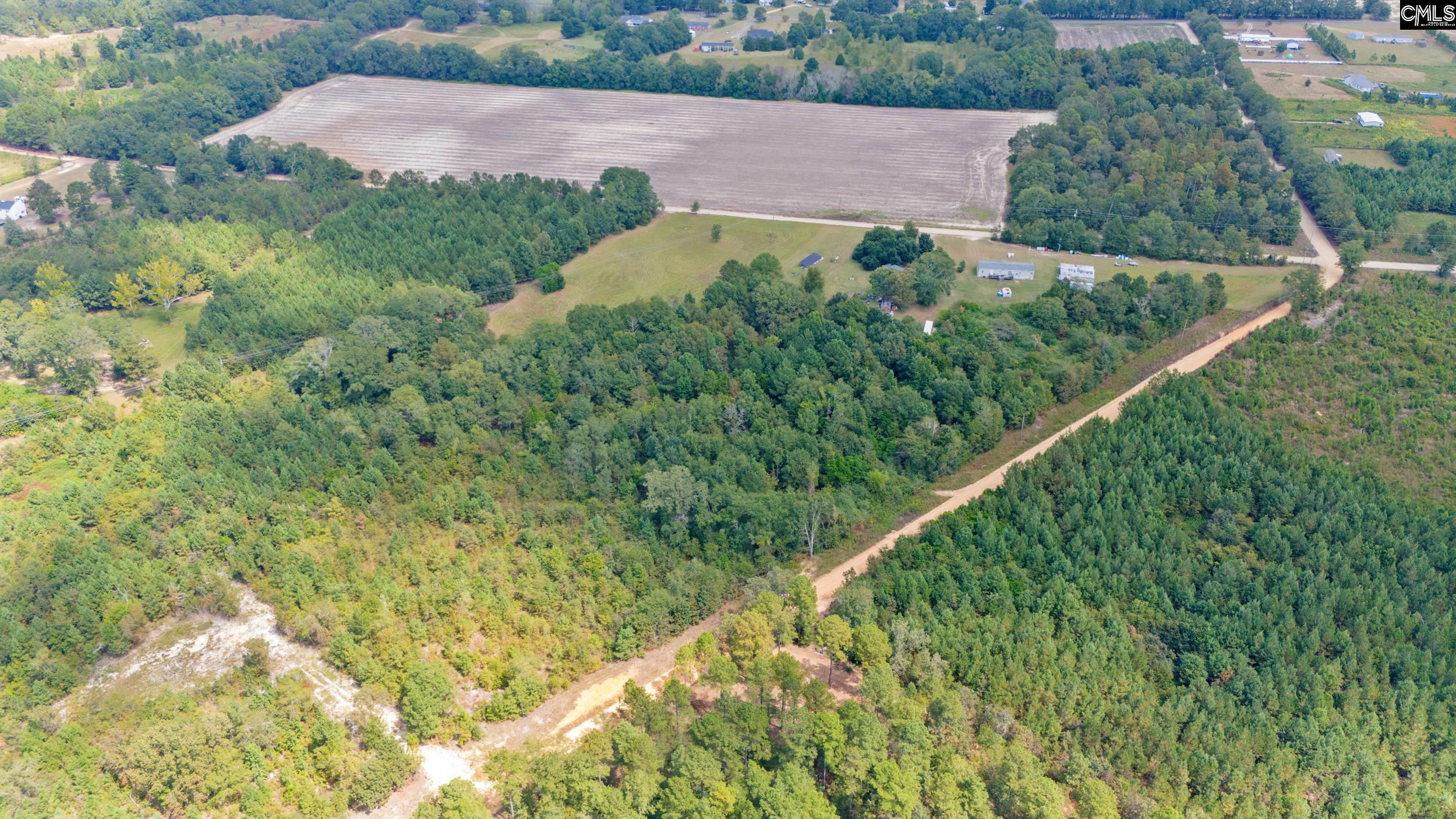 Tbd Bachman Dykes Road Swansea, SC 29160 - Photo 2 of 9