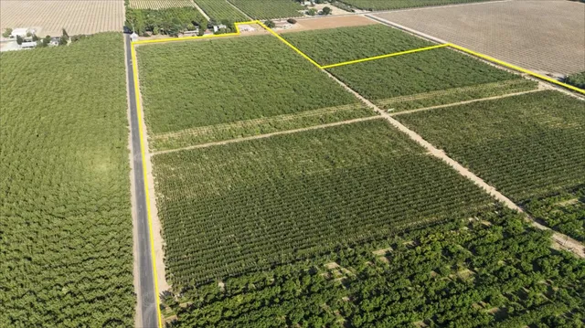 $2,030,000 | 16929 Louise Avenue, Escalon, CA 95320