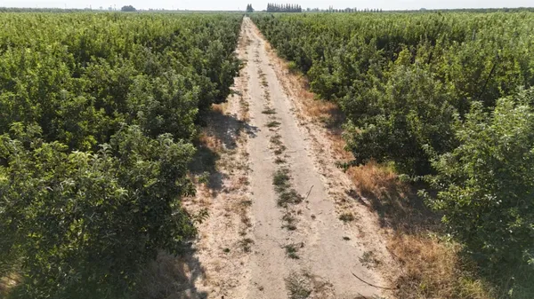 $2,030,000 | 16929 Louise Avenue, Escalon, CA 95320